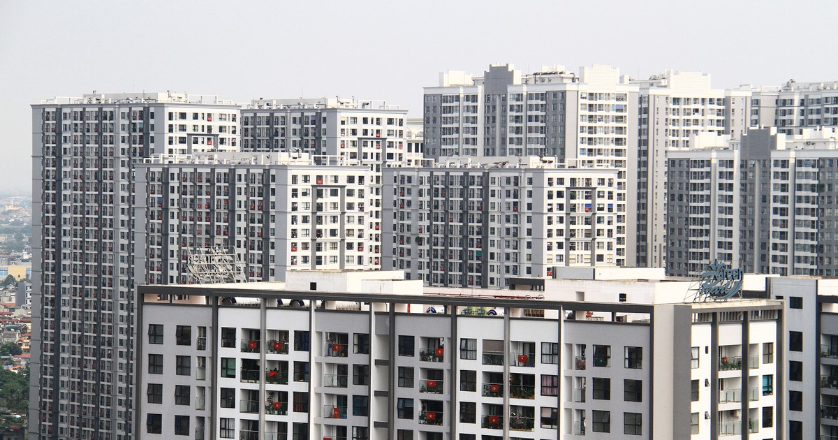 Thị trường bất động sản 11/8/2026