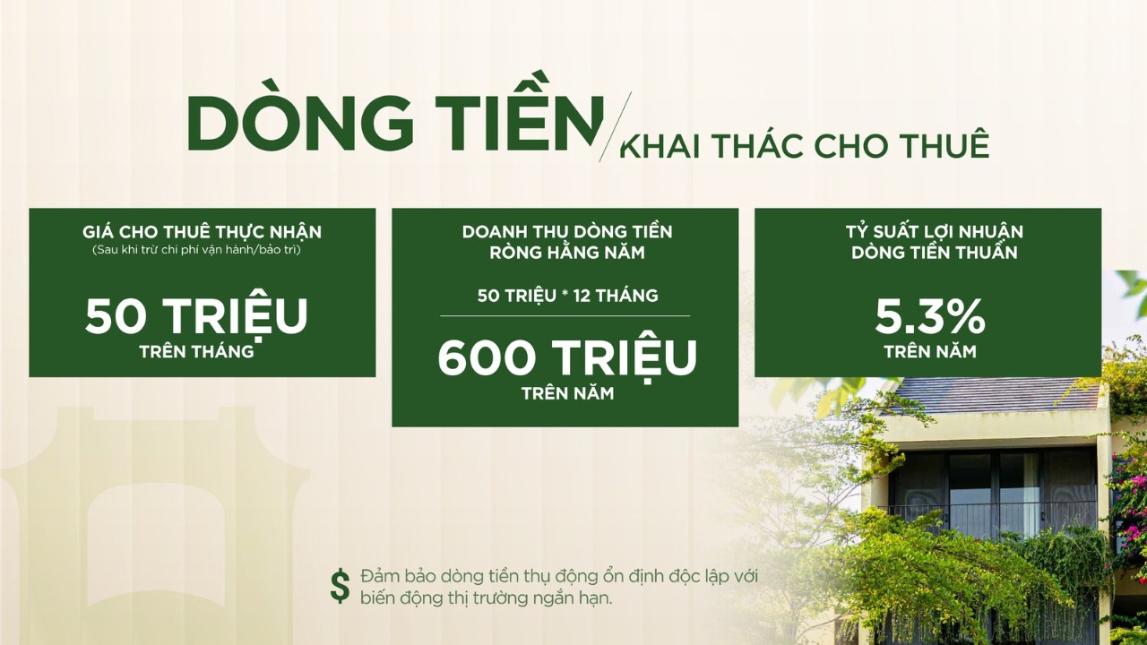 Dòng tiền khai thác cho thuê: 50 triệu/tháng thực nhận → 600 triệu/năm → tỷ suất dòng tiền thuần ~5,3%/năm.